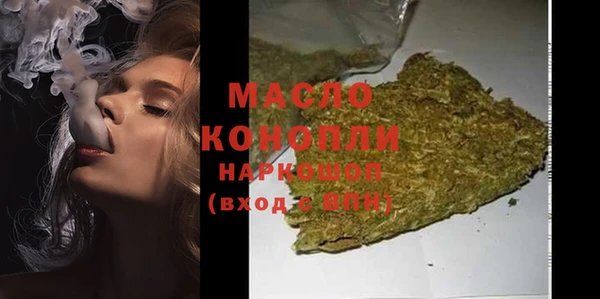 гидра Богданович