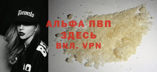 гидра Богданович