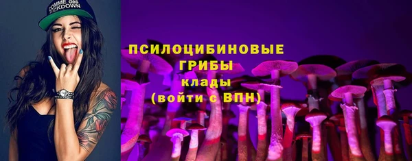 прущие крисы Богородицк