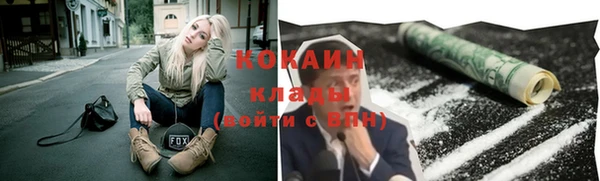 гидра Богданович