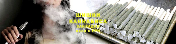 гидра Богданович