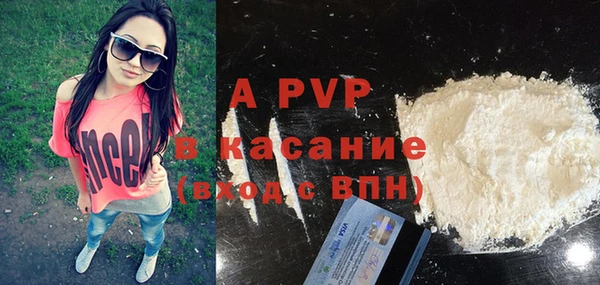 гидра Богданович