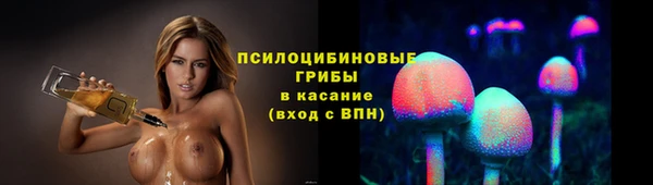 apvp Белокуриха