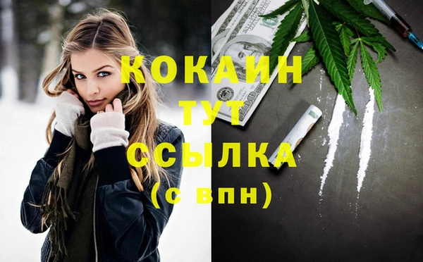гидра Богданович