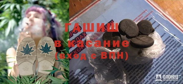 гидра Богданович