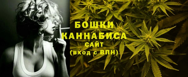 apvp Белокуриха