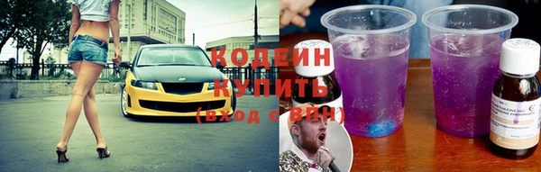 гидра Богданович
