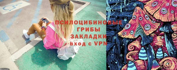 apvp Белокуриха
